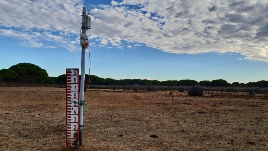 El acuífero de Doñana se exprime más allá de lo que aguanta: su sobreexplotación sobrepasa ya los "límites viables"