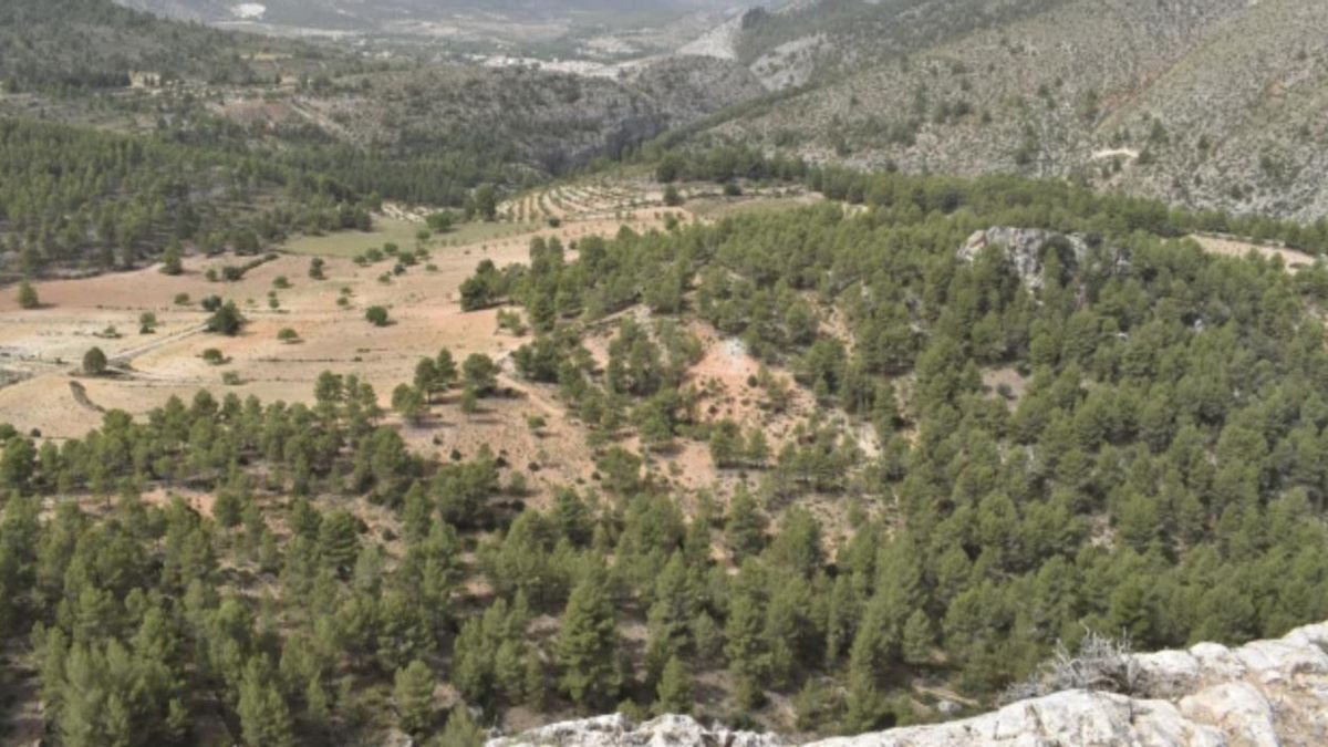 Un asentamiento de la Edad del Hierro en el sureste peninsular aparece arrasado tres veces y los arqueólogos han reconstruido qué ocurrió