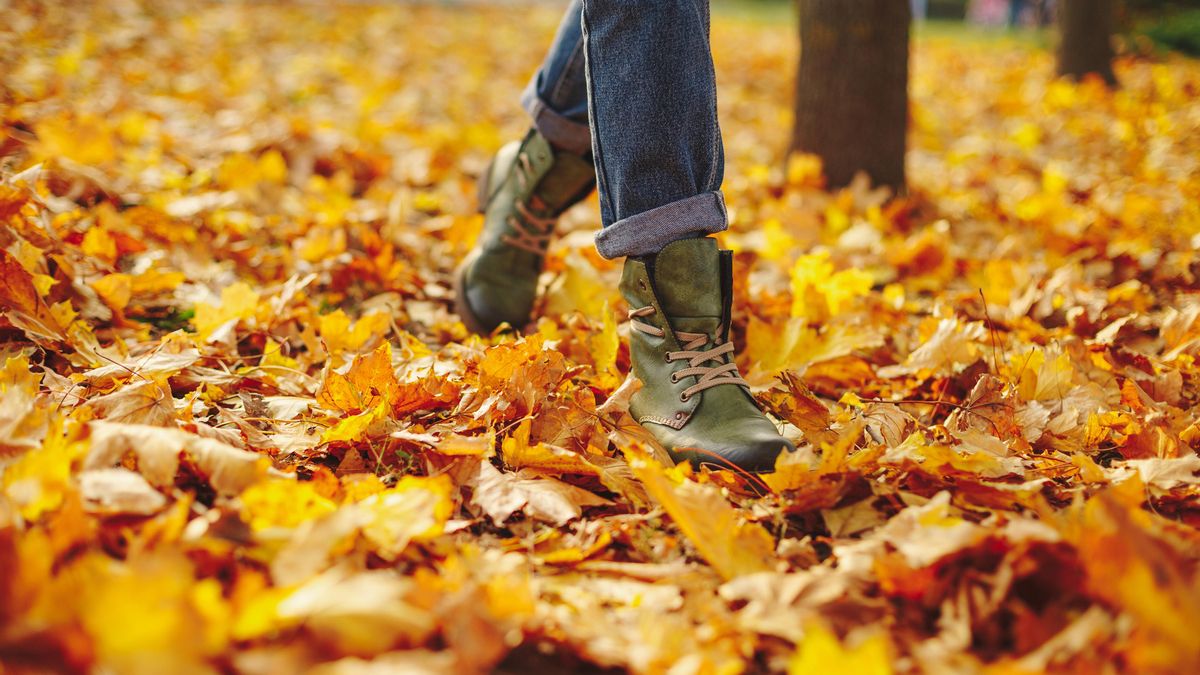 La importancia del paseo sin rumbo