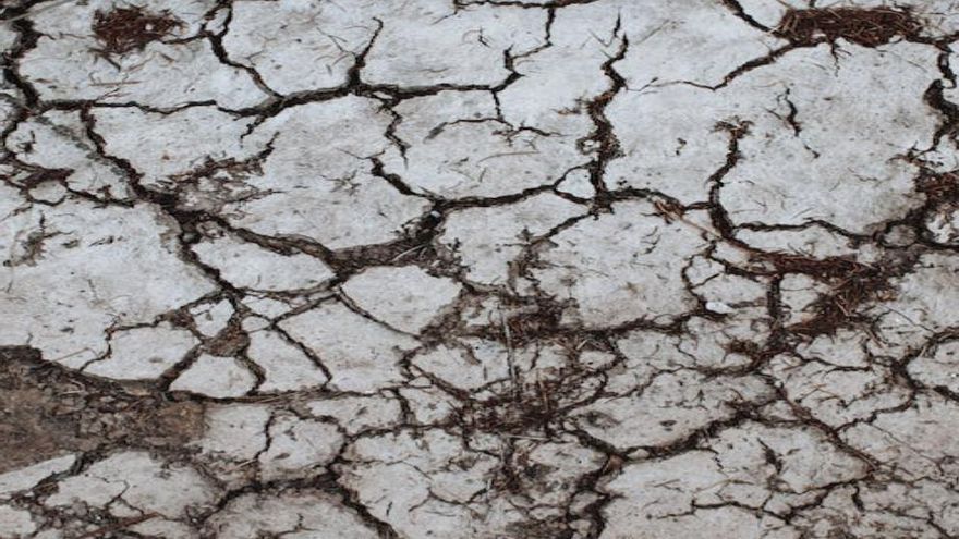 La asfixia de las explotaciones agropecuarias