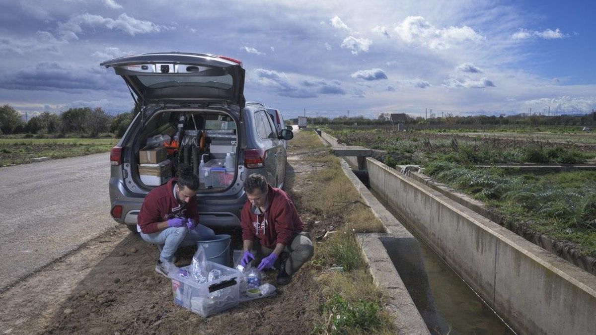 CSIC y universidades despliegan decenas de investigaciones desde la tierra y el espacio para averiguar el impacto medioambiental de la dana