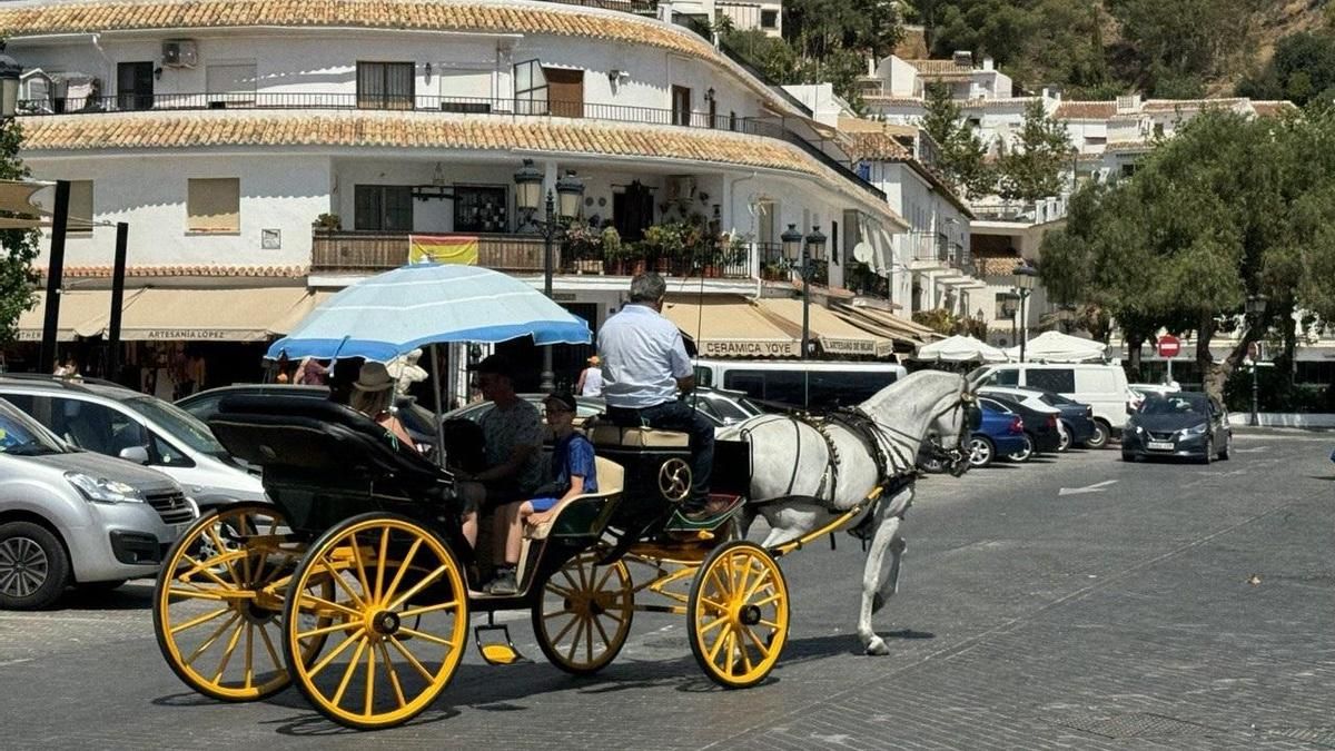 Málaga acaba con los coches turísticos de caballos y abre el debate a su veto en otras ciudades