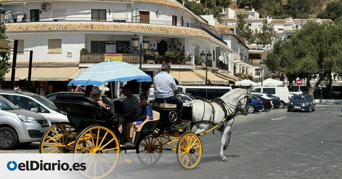 Málaga acaba con los coches turísticos de caballos y abre el debate a su veto en otras ciudades