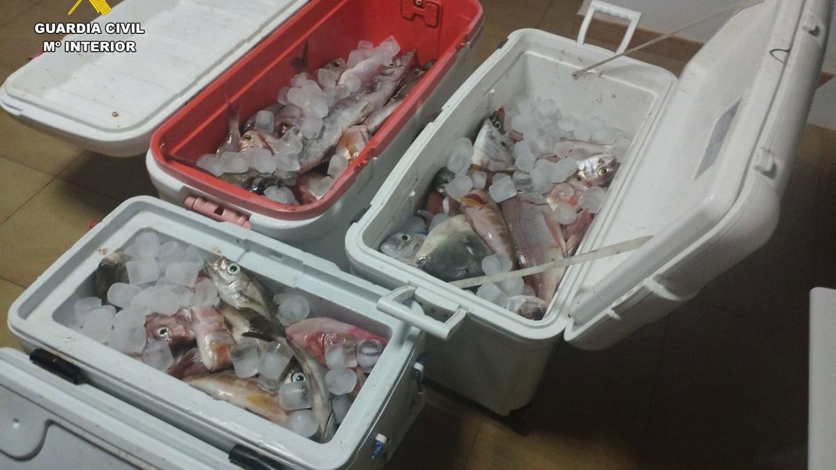 Pescadores de Lanzarote denuncian a una embarcación deportiva por exceso de capturas: llevaban más de 100 kilos de pescado