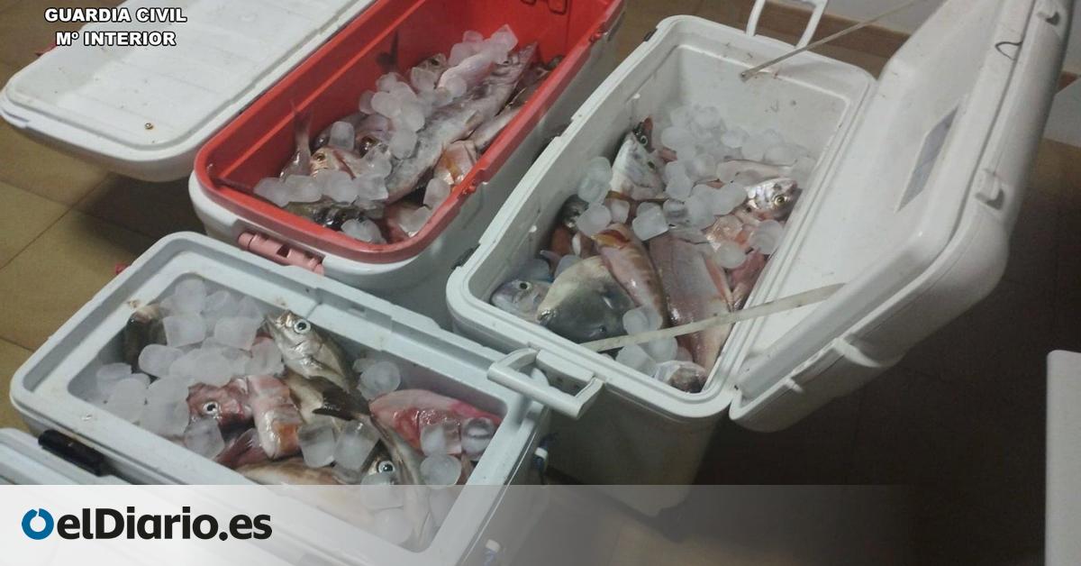 Pescadores de Lanzarote denuncian a una embarcación deportiva por exceso de capturas: llevaban más de 100 kilos de pescado