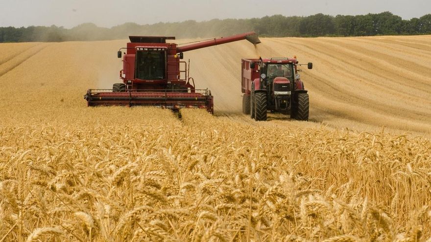 Nuevo desencuentro por las limitaciones para cosechar: Asaja abandona el Consejo de Medio Ambiente de Castilla-La Mancha