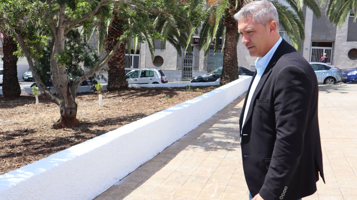 La Laguna recupera zonas verdes con especies endémicas