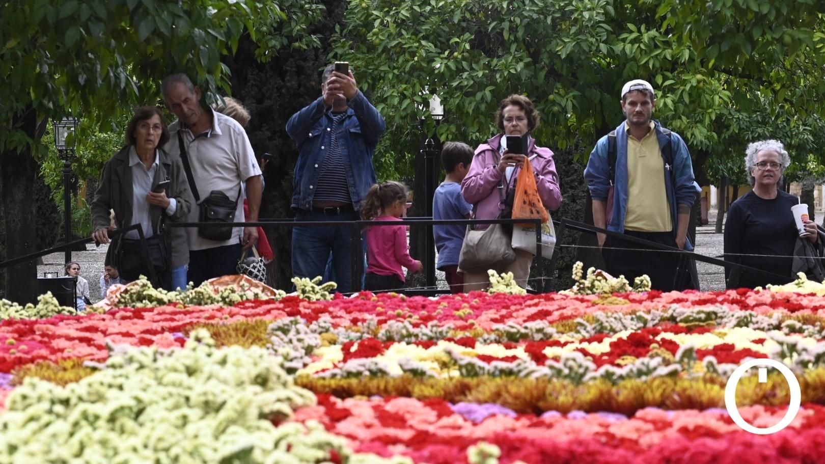 Flora 2023 - Harriet Parry