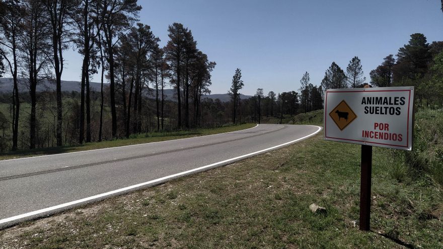 Incendio en Tala Cañada.