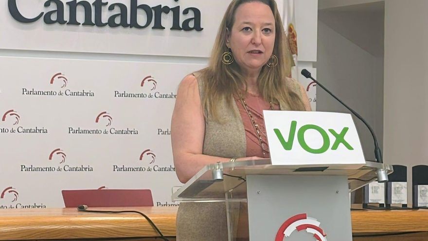 La portavoz del grupo parlamentario Vox, Leticia Díaz