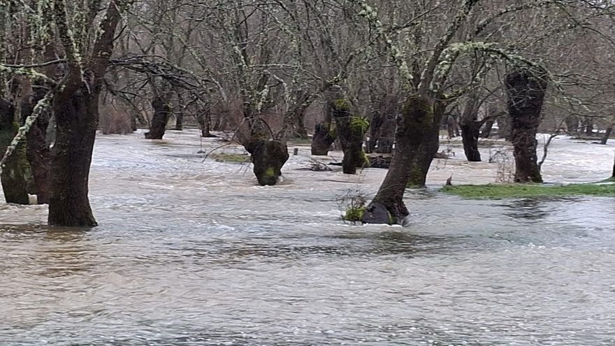 Tranquilidad en la comarca de Cabañeros pese al desbordamiento del Bullaque a su paso Retuerta