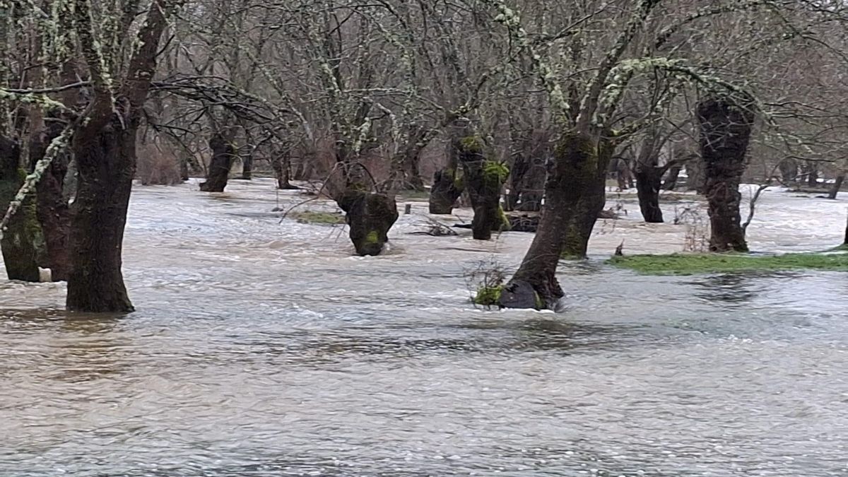 Tranquilidad en la comarca de Cabañeros pese al desbordamiento del Bullaque a su paso Retuerta