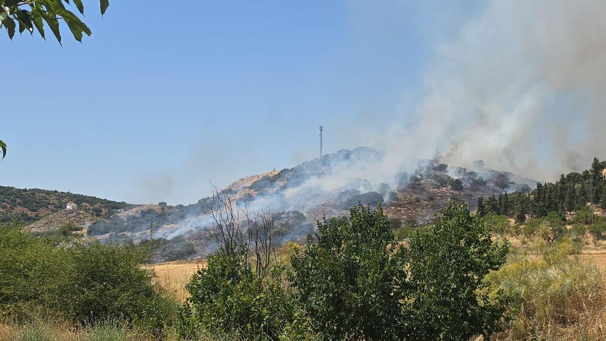 Declarado un segundo incendio forestal en Córdoba