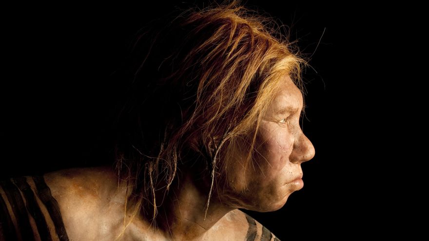 Nuestros primos no tan lejanos: ¿Qué nos dicen los neandertales sobre nuestra propia humanidad?
