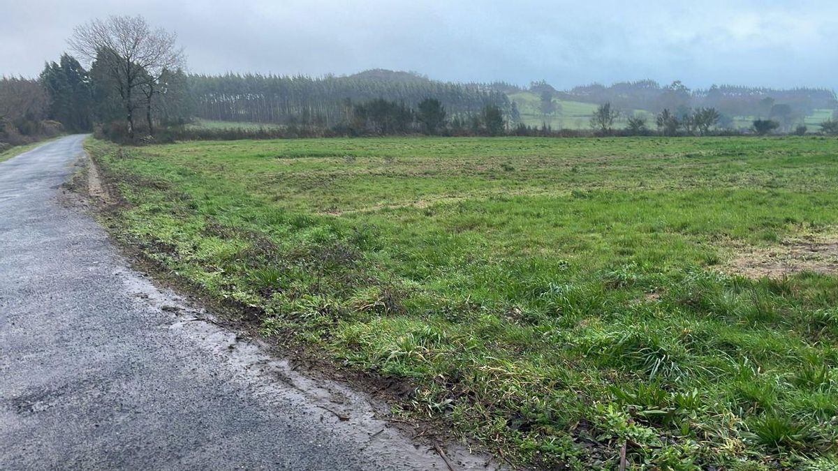 Fincas donde un camión ha vertido lodos presuntamente sin tratar procedentes de una depuradora en las inmediaciones de Castro Marcelín (Agolada, Deza, Pontevedra)