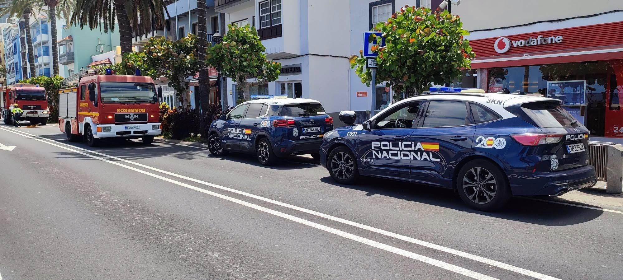 Vehículos de Bomberos La Palma  y Policía Nacional junto a la palmera que sufrió el conato de incendio en la avenida Marítima de Santa Cruz de La Palma.
