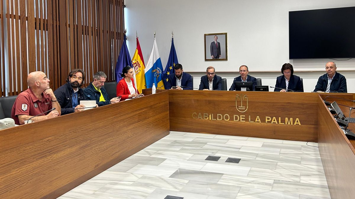Reunión del Comité Asesor del Plan Insular de Emergencias de La Palma (Peinpal)  celebrado este 29 de abril