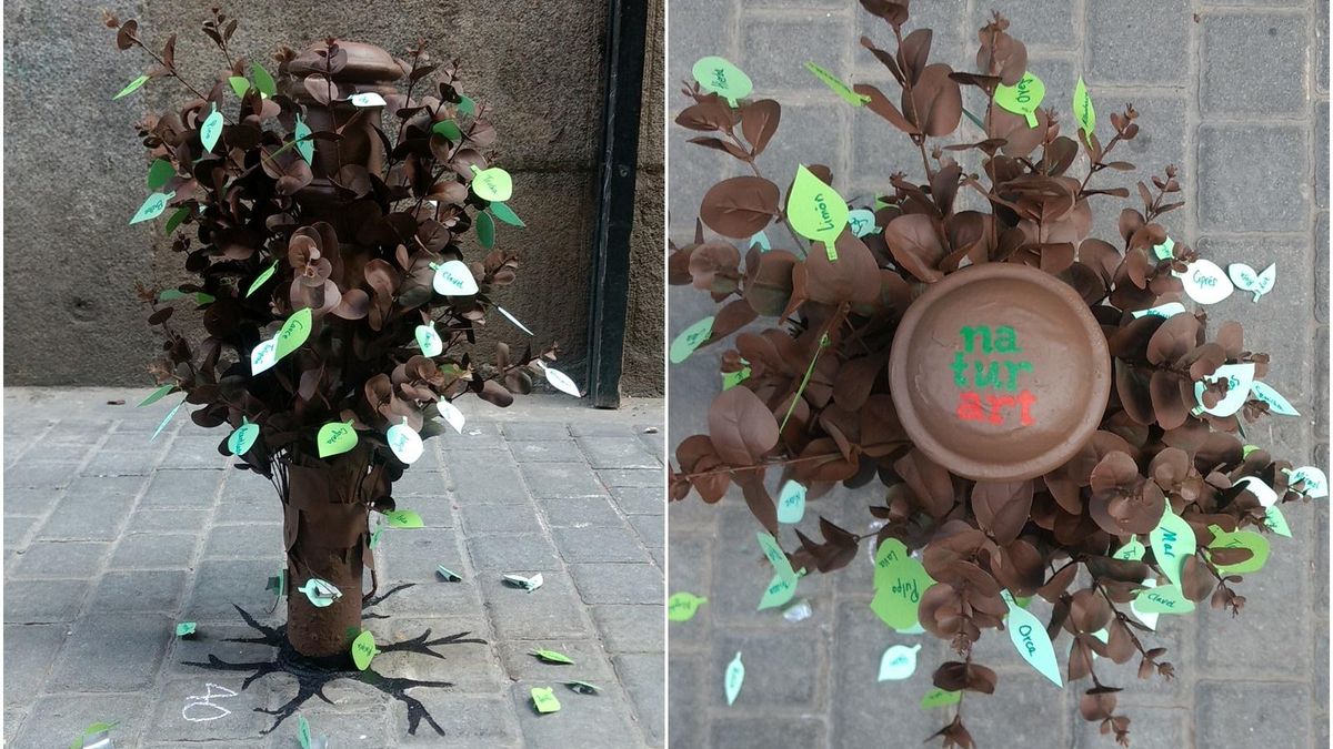 Bolárbol de Paula López