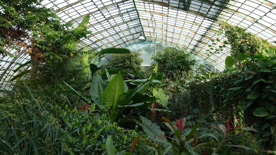Invernaderos del jardín de Plantas de París.