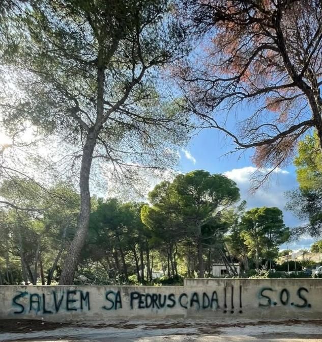 Pintada de protesta contra el proyecto de urbanización de sa Pedruscada