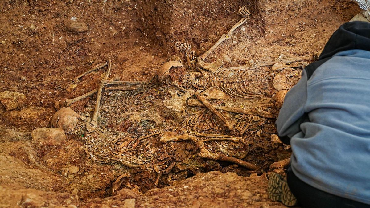 Imagen de archivo de las exhumaciones de las fosas del cementerio de La Salud de Córdoba.