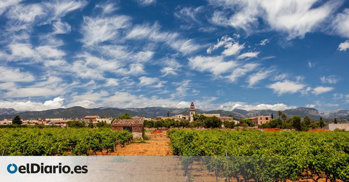 El pequeño pueblo de Mallorca donde se prepara la mejor miel de España en 2025