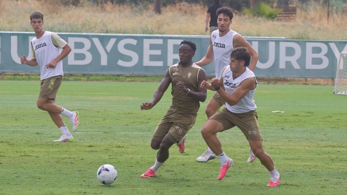 Théo, Eder o Cáceres: el Córdoba CF busca el relevo de Diarra