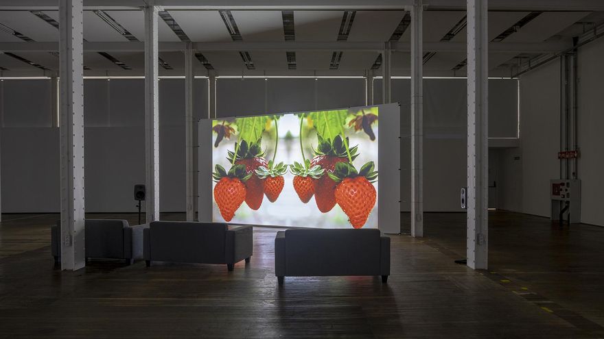 'Strawberry Fields', el documental que muestra las sombras del sector de la fresa en Huelva y los abusos a sus jornaleras