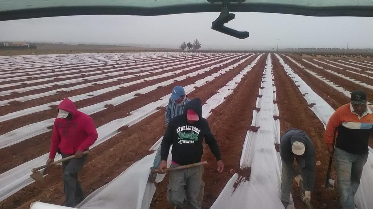 El presidente de la Lonja del Melón y Sandía de la Mancha hace una balance “negativo” de la campaña