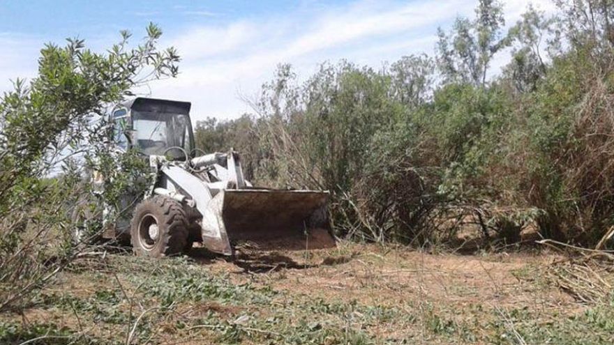 Denuncian que tras los incendios aparecieron topadoras en las islas del Paraná
