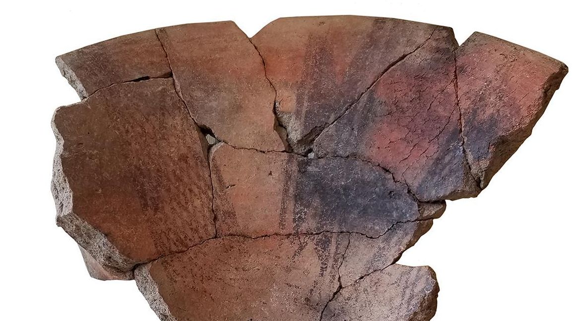 Lavabo pedestal castellano USF/110 hallado en el nicho (SU 9) decorado con bandas reticuladas que decoran sus interiores