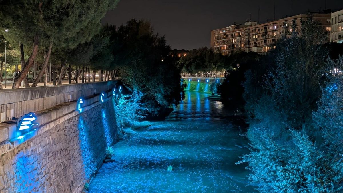 El Gobierno de Almeida enciende las polémicas luces junto a la fauna de Madrid Río a la vez que las de Navidad
