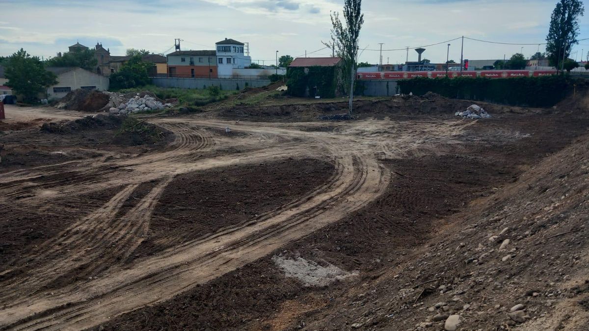 Más talas en Calahorra