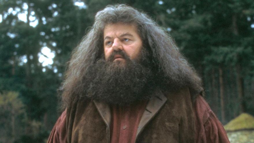 La serie de 'Harry Potter' sorprende con la primera imagen del nuevo Hagrid, el entrañable Guardabosques de Hogwarts