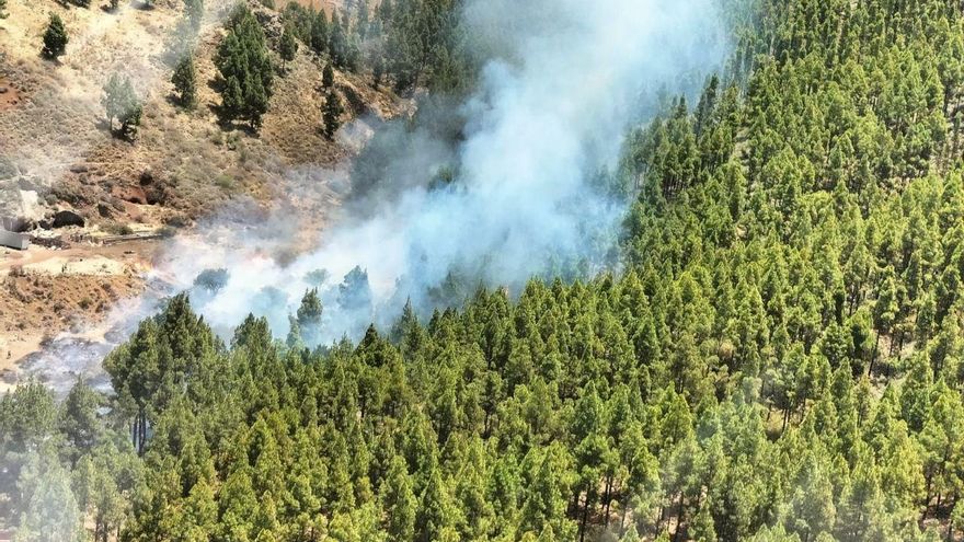 El fuego alcanza zonas de pinar en la cumbre de Gran Canaria