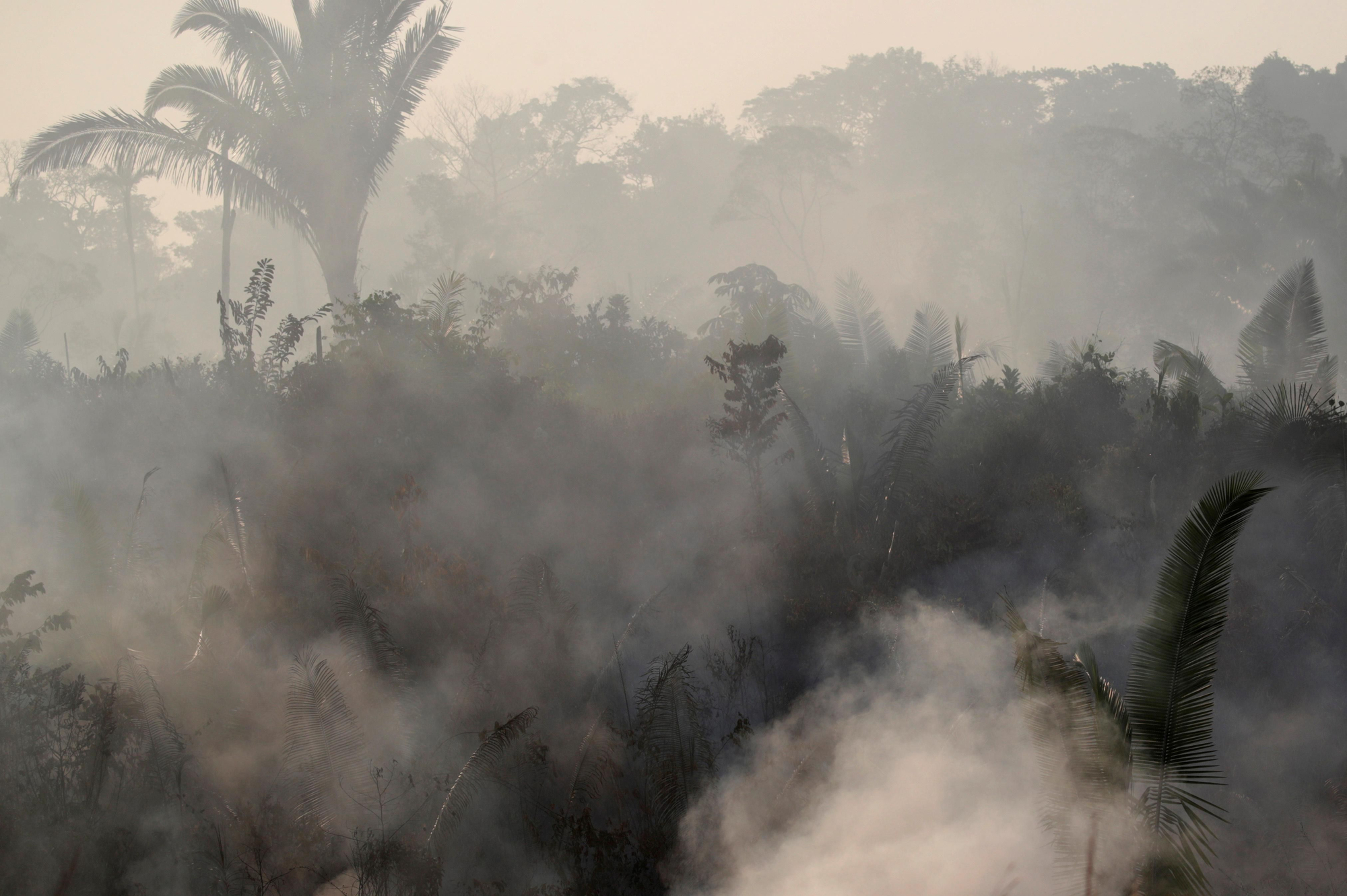 El humo impide la vista de la flora del amazonas en Humanita, Brasil 14 de agosto