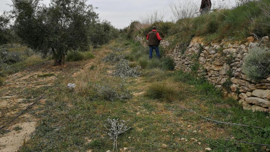 Defensa Animal Extremeña critica los nuevos regalos fiscales a cazadores y cotos