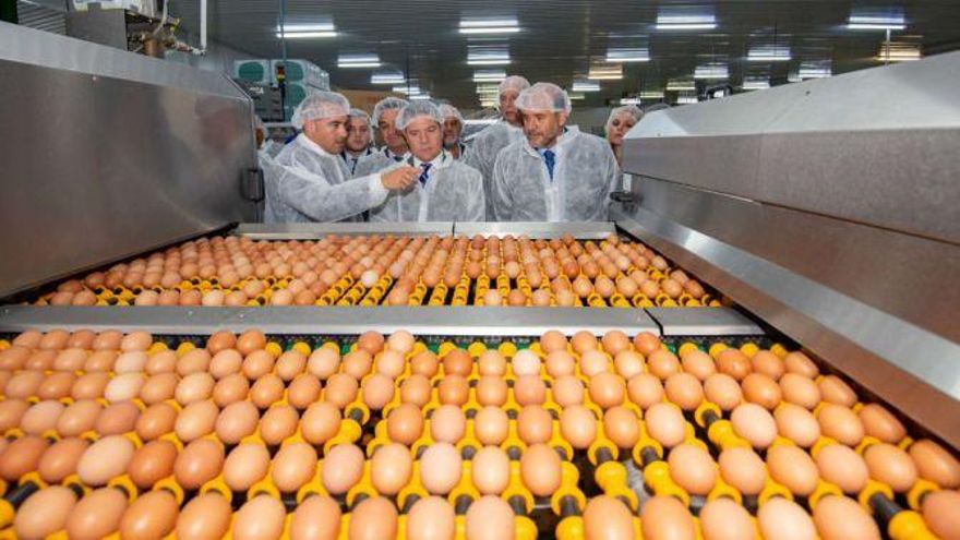 Rujamar construirá en Cuenca capital su nueva planta de ovoproductos