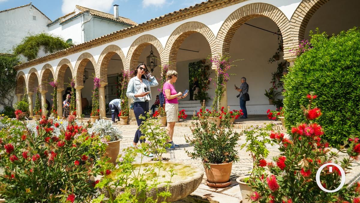 Jornada de puertas abiertas en todos los Patios del Palacio de Viana