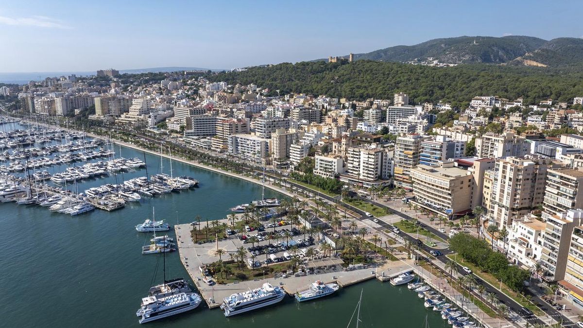 El paseo marítimo de Palma muda su piel para reconectar el puerto con el corazón de la ciudad