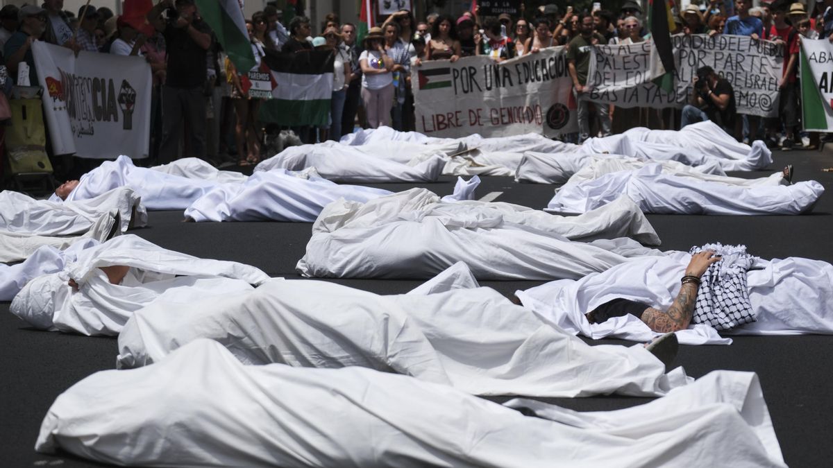 Decenas de personas marchan en apoyo a Palestina por las calles de Santa Cruz de Tenerife
