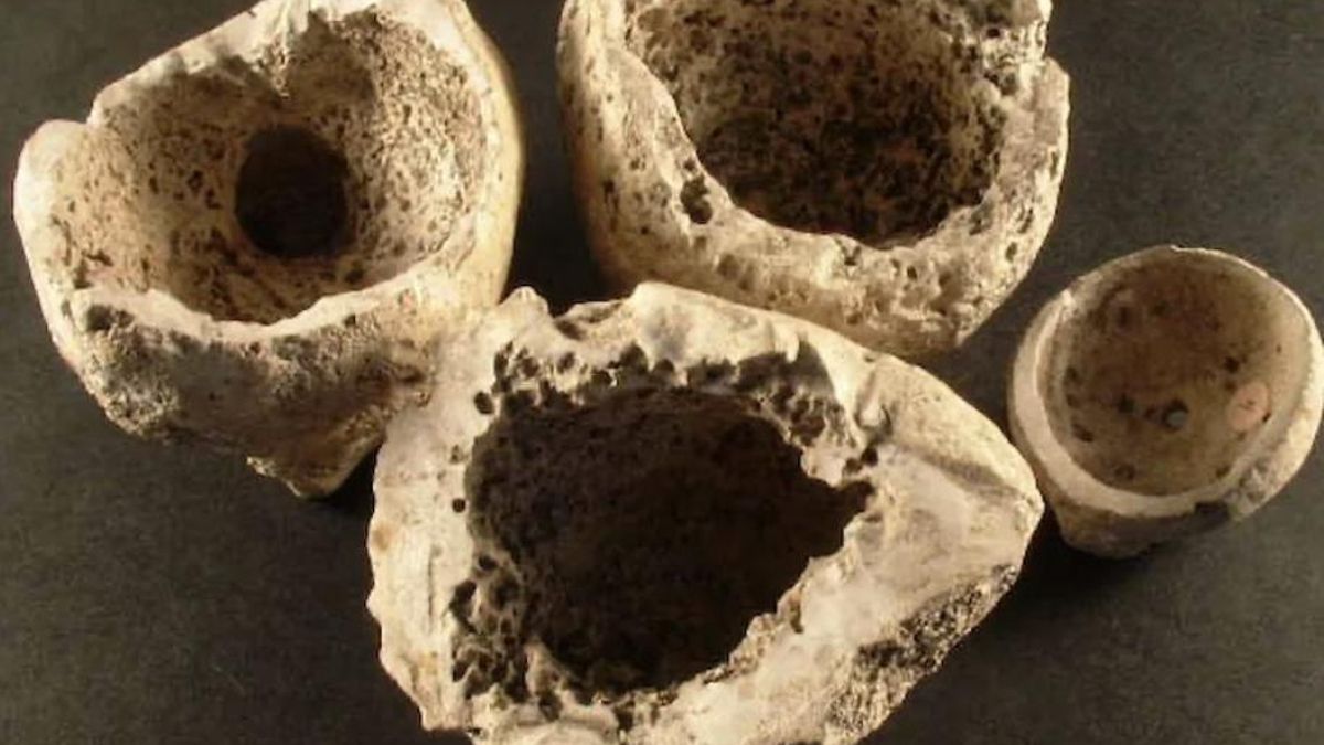Las pruebas científicas cambiaron una historia muy conocida