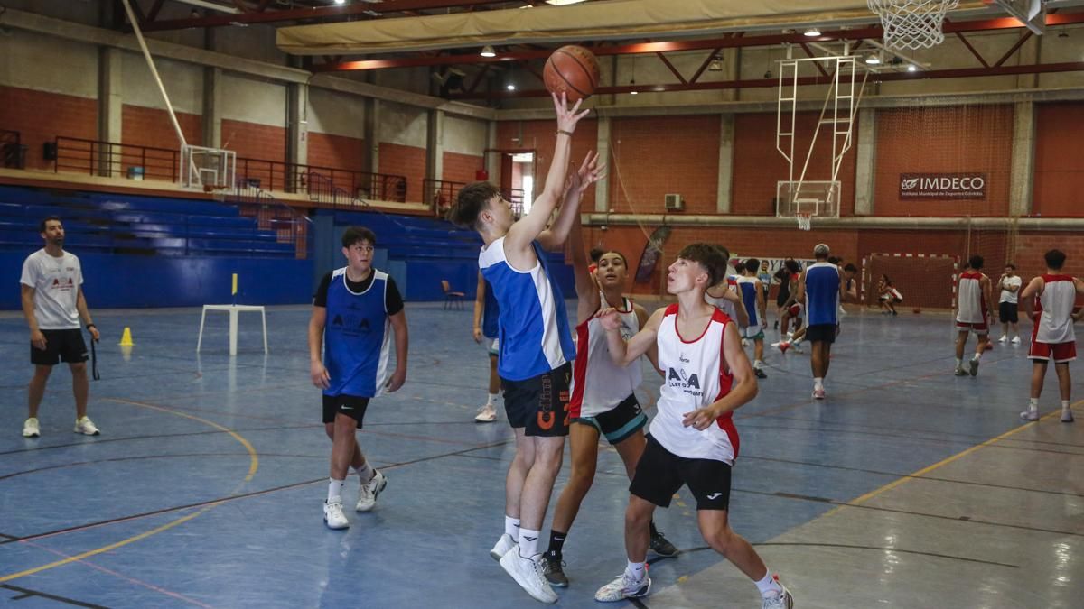 Alley Oop Academy