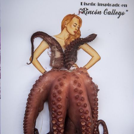 Diseño inspirado en el "Rincón Gallego"