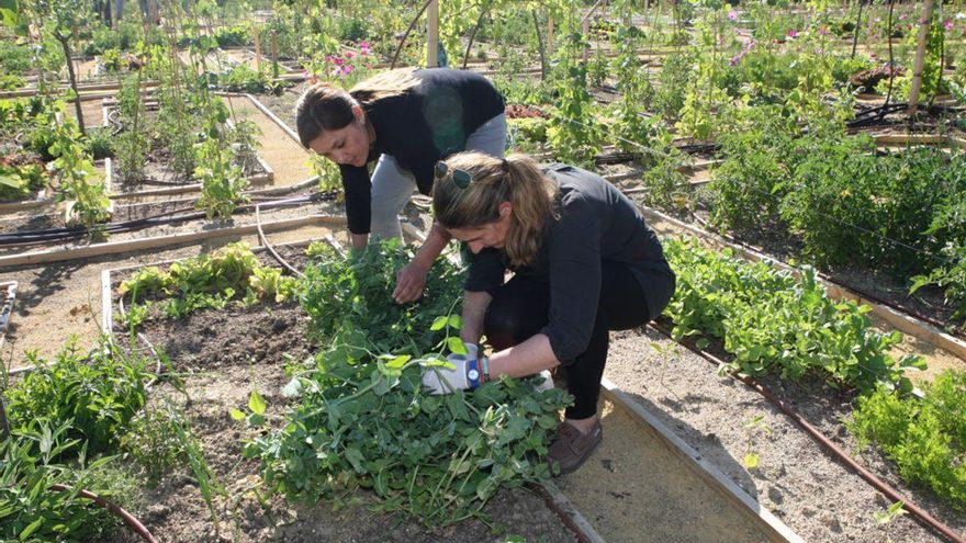 En el primer trimestre laboral del año, que suele ser el peor, 7.600 personas perdieron su trabajo en Extremadura