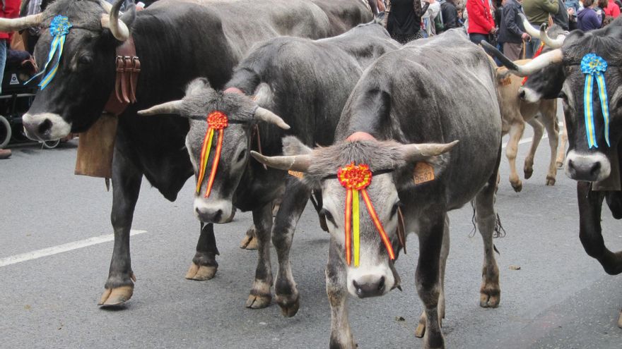Archivo - Imagen de archivo.- La Pasá en Santander en 2014