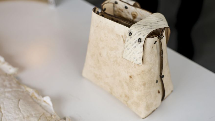 El cuero del futuro se hace con hongos