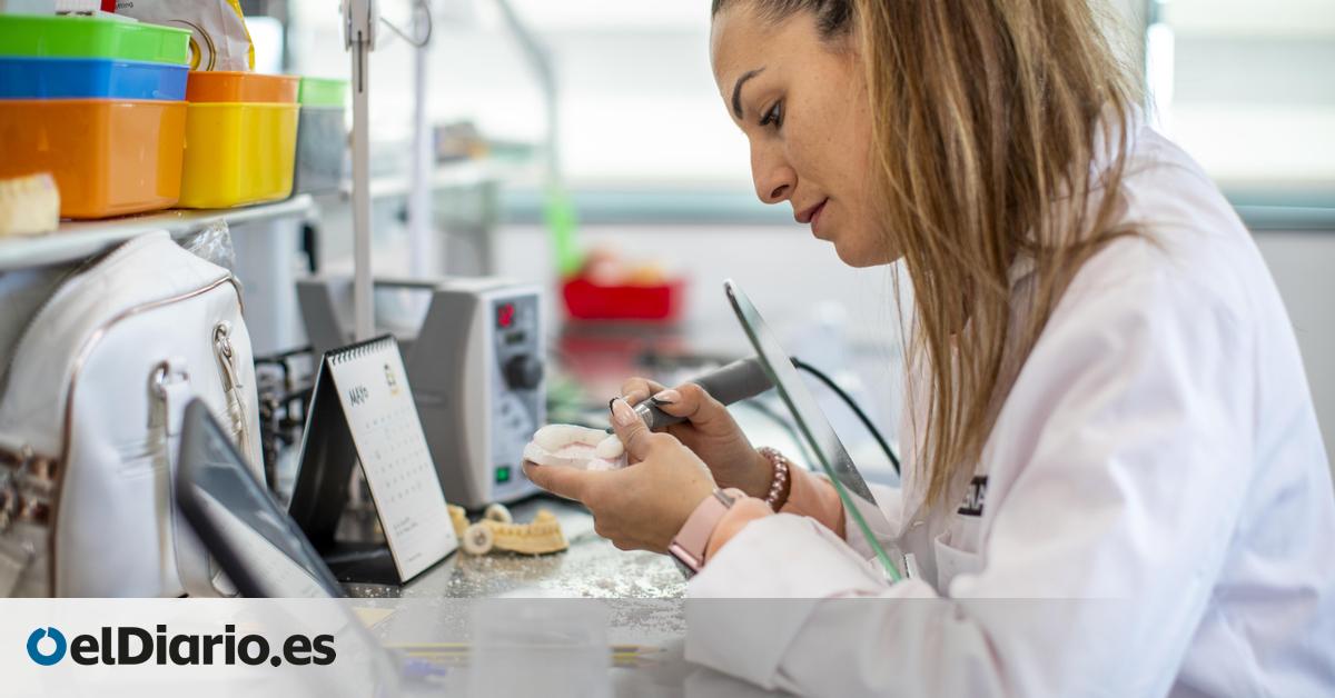 Sanidad e Informática, las joyas de la corona de la creciente privatización de la Formación Profesional