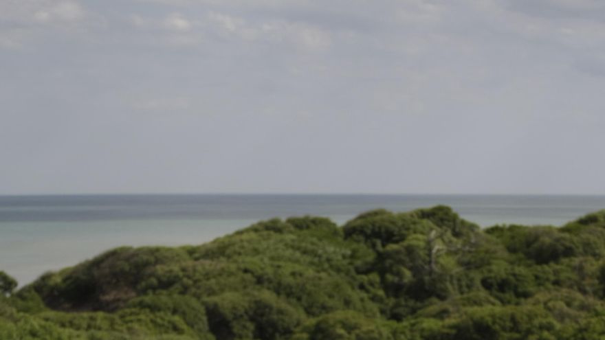 Miramar, más allá de sus playas