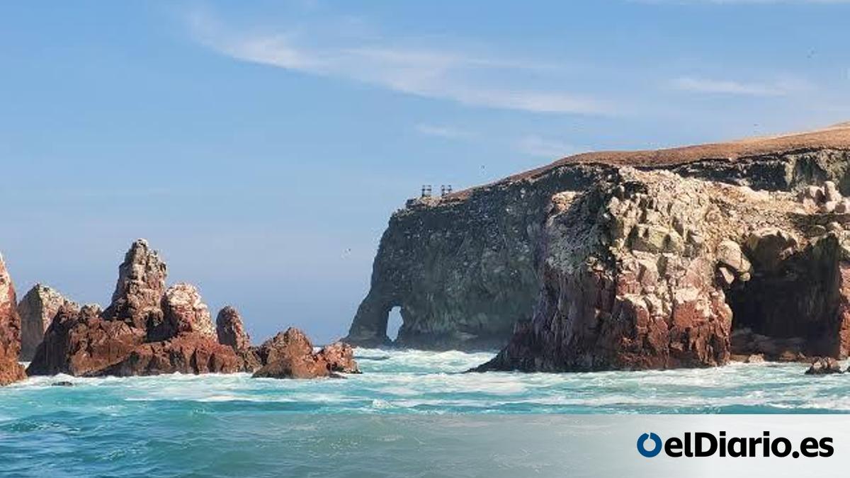Las Islas Ballestas: las "Galápagos de Perú" que tienen tres millones de aves, un geoglifo y un fertilizante que financió un país entero